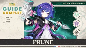 Prune Genshin Impact, guide complet, farm, build, synergies, rotations